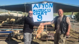Aliağa'da kurban pazarı hareketleniyor